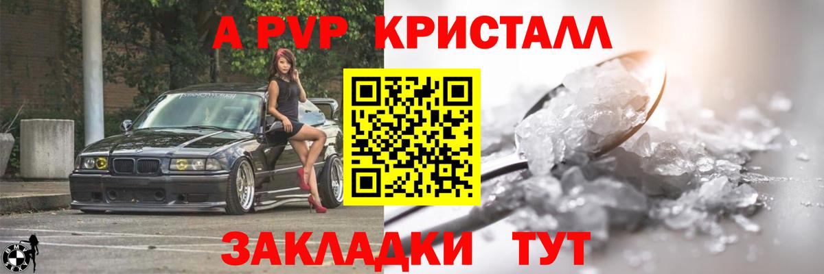 Альфа ПВП СК Курчалой