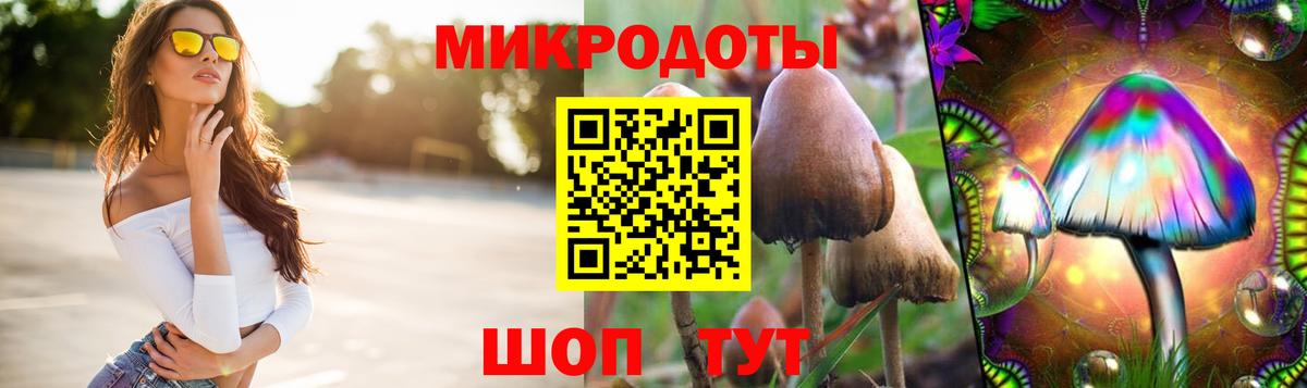 купить  цена  Вход с VPN  Курчалой  Галлюциногенные грибы MAGIC MUSHROOMS  Галлюциногенные грибы Psilocybe 
